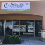 one to one physical therapy, Florida